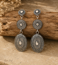 Desert Sun Dust Earrings